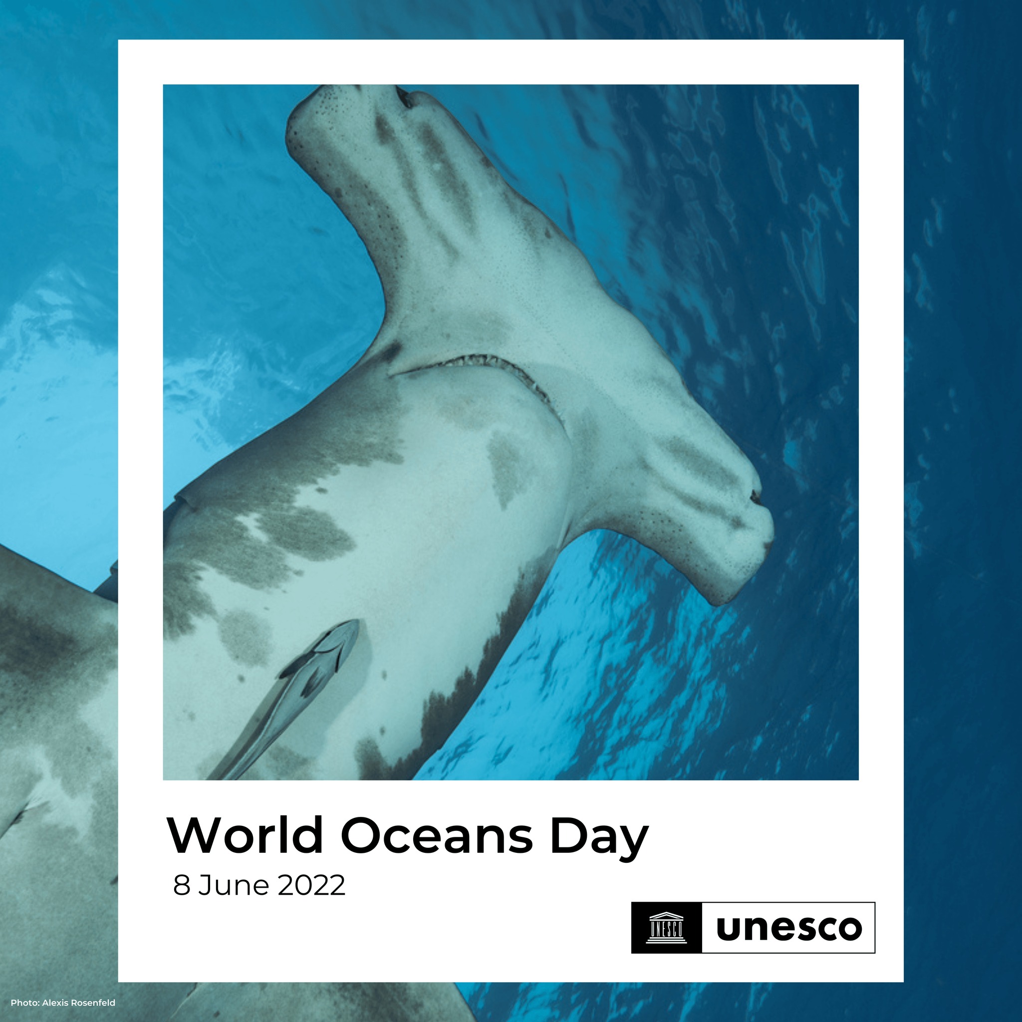 08 June is World Oceans Day!